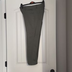 Loft women’s straight crop pants